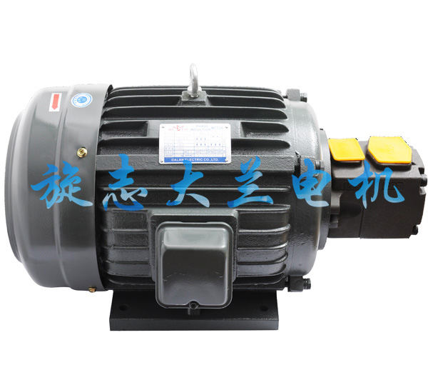 大蘭PV2R1油泵電機組.jpg