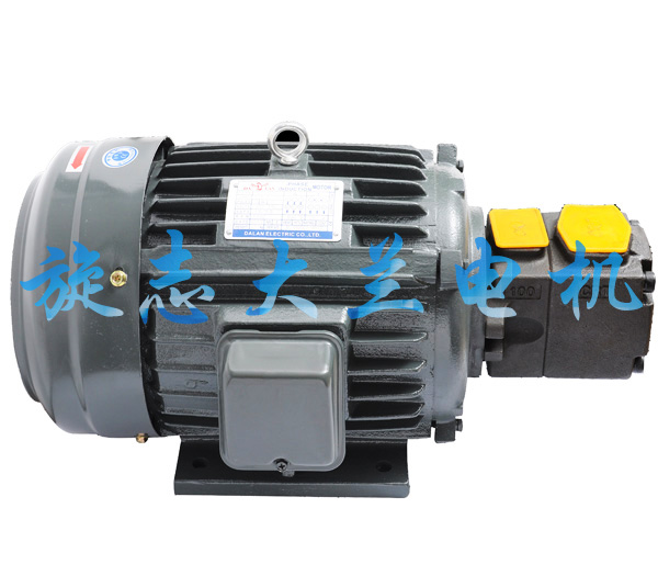 【黑龍江】下單訂購大蘭5.5千瓦油泵專用電機，是靠運氣還是實力？